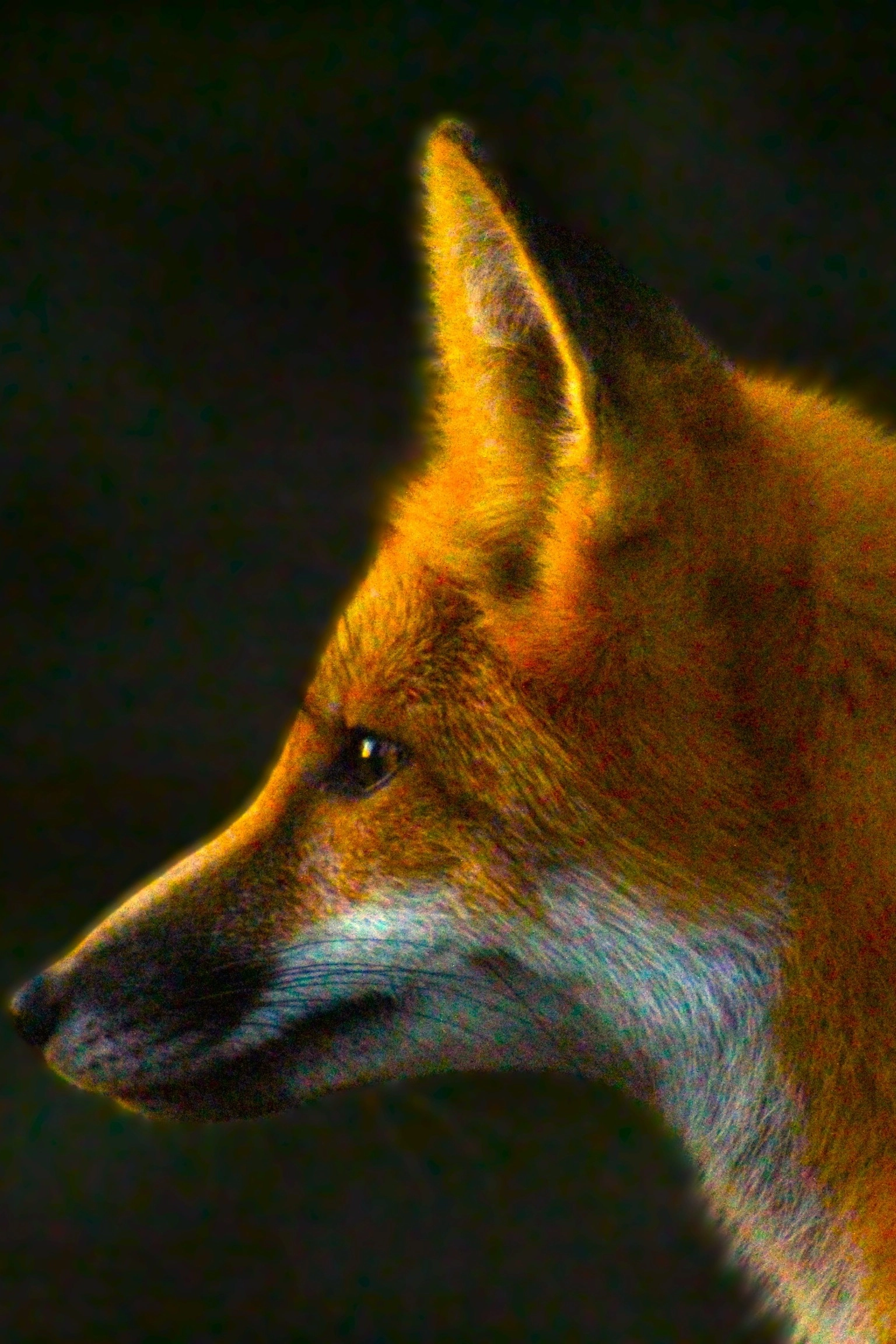 Profile image of S-298
